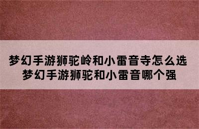 梦幻手游狮驼岭和小雷音寺怎么选 梦幻手游狮驼和小雷音哪个强